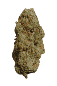 Jack Herer